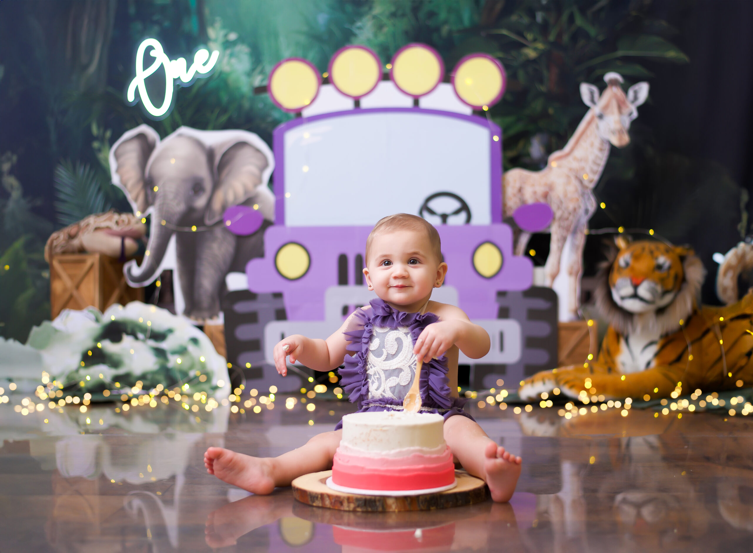 Durham region Cake Smash Photography