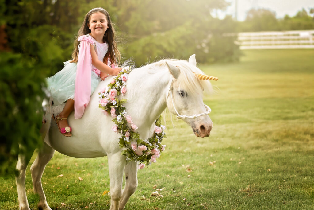 Unicorn Sessions in Ontario 